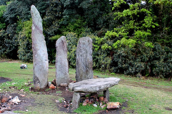 Mawphlang Sacred Grove Meghalaya travel Sacred forest Meghalaya Eco-tourism Meghalaya Places to visit in Meghalaya